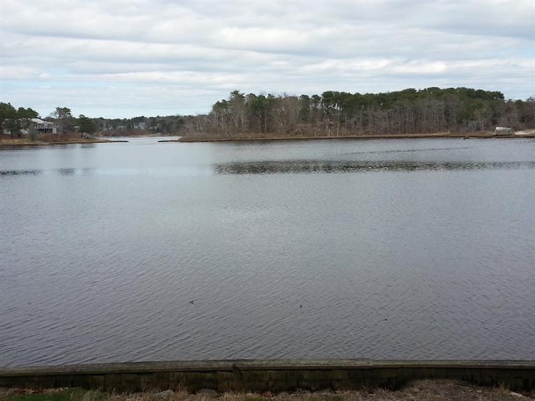 12 Mayflower Terrace Yarmouth MA 02664