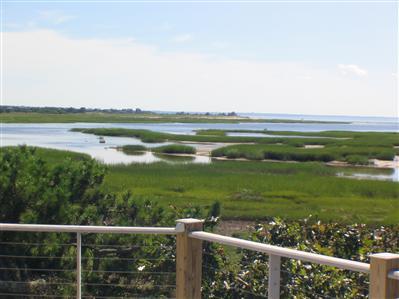 Wellfleet MA 02667