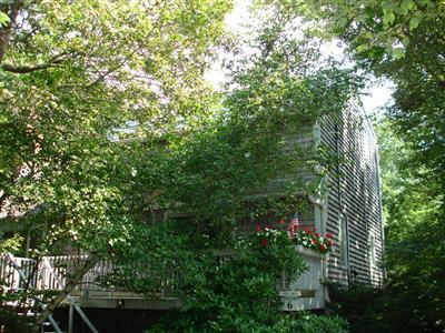 6 Thistlemore Way Provincetown MA 02657