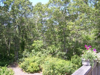 Yarmouth MA 02664