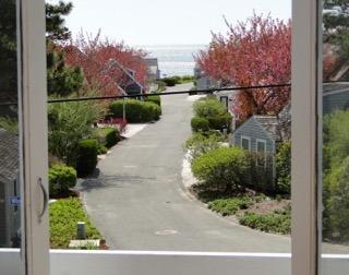 5 Seagrass Lane Mashpee MA 02649