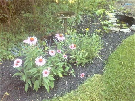 70 Raspberry Lane Barnstable MA 02648