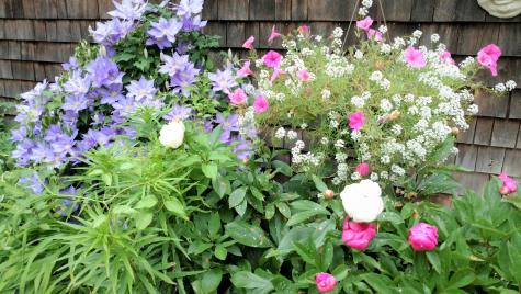 70 Raspberry Lane Barnstable MA 02648