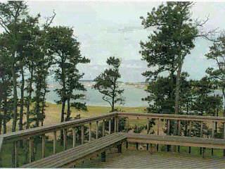 Wellfleet MA 02667