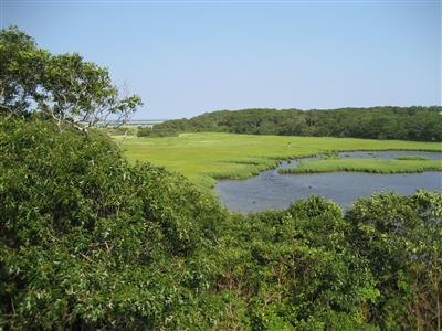 Chatham MA 02633