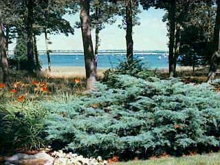 Barnstable MA 02655