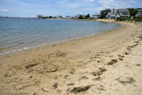 51 Maine Avenue Yarmouth MA 02673