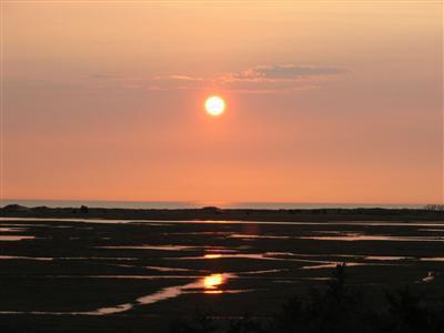 40 Teal Way Eastham MA 02642