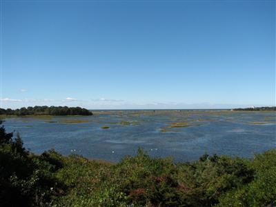 40 Teal Way Eastham MA 02642