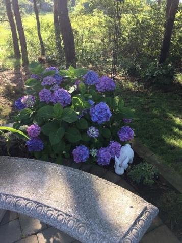 29 Lower County Road Dennis MA 02670
