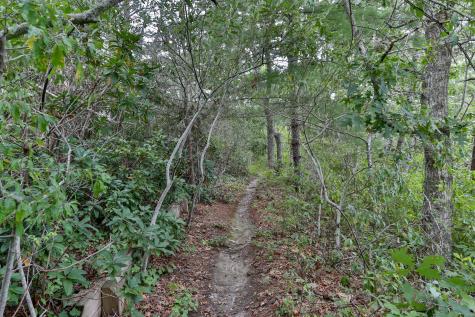 15 Fisher Point Road Brewster MA 02631