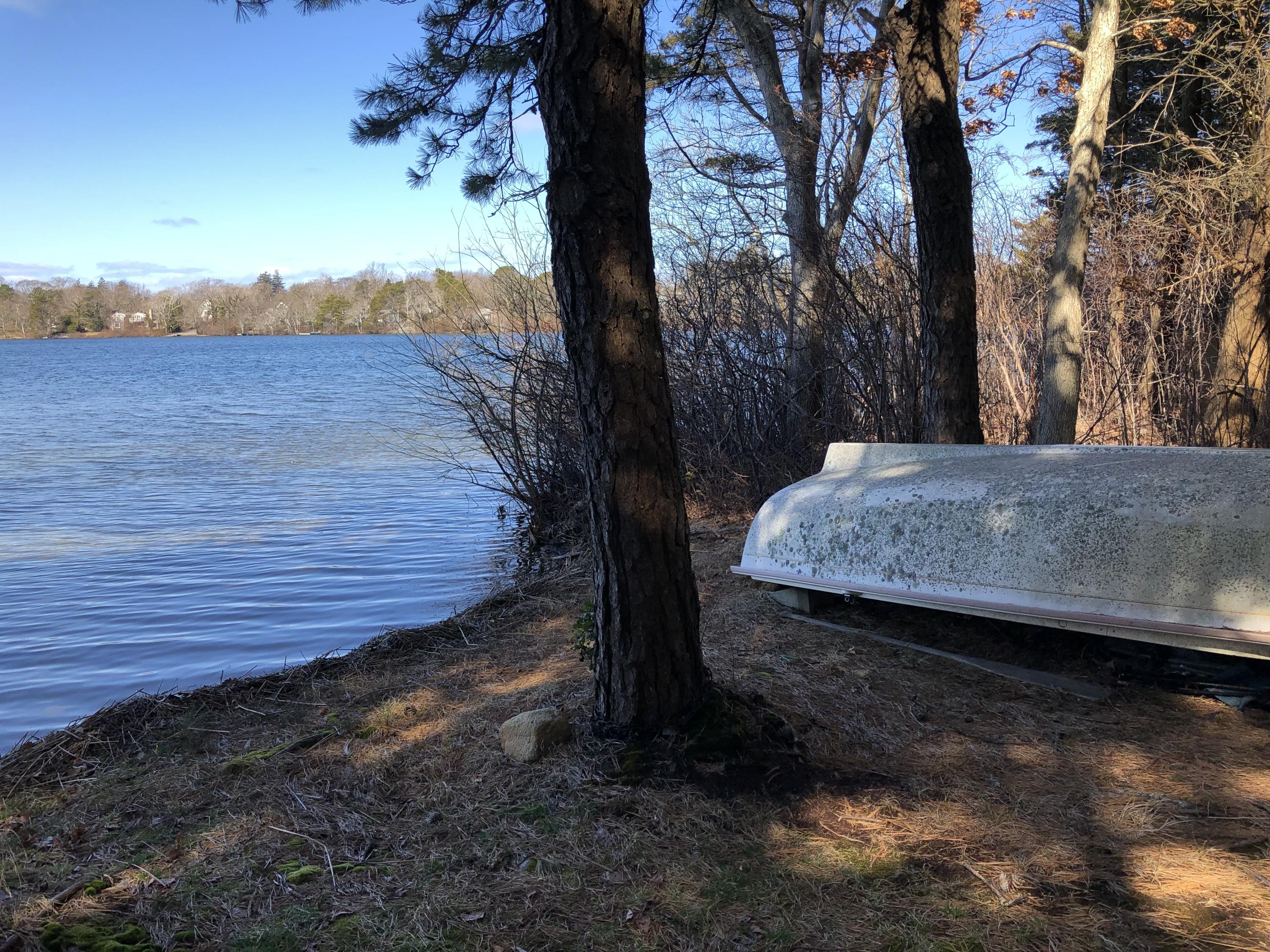 51 Paddocks Path, Dennis