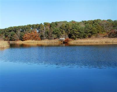 0 Cranberry Lane Chatham MA 02650
