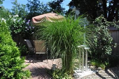 11 Cottage Street Provincetown MA 02657