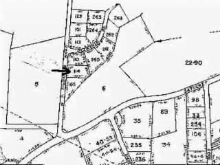 Brewster MA 02631