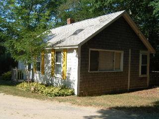 Wellfleet MA 02667