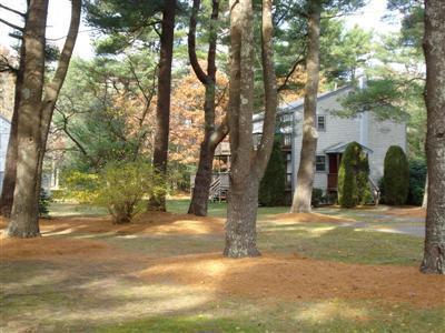 3040 Falmouth Road/route 28 Barnstable MA 02655