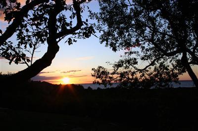 Falmouth MA 02574