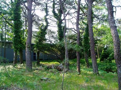 Wellfleet MA 02667