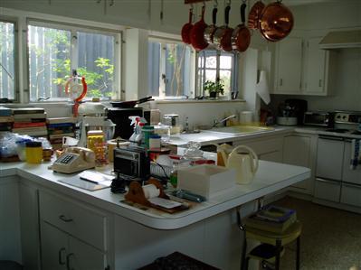 Wellfleet MA 02667