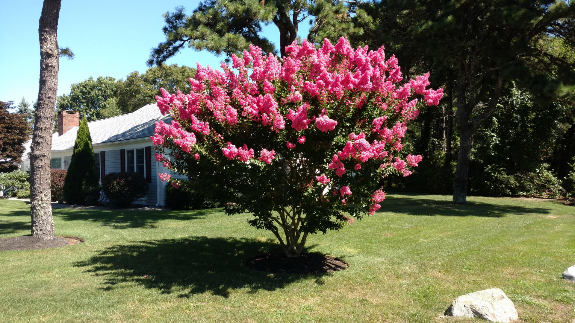 42 Driving Tee Circle Yarmouth MA 02664