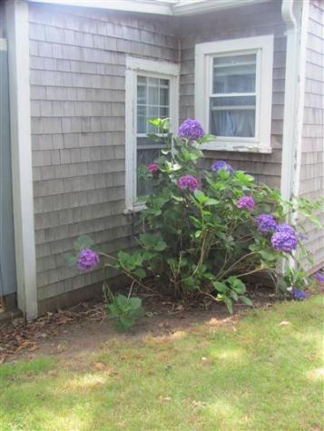 21 Crescent Avenue Falmouth MA 02540