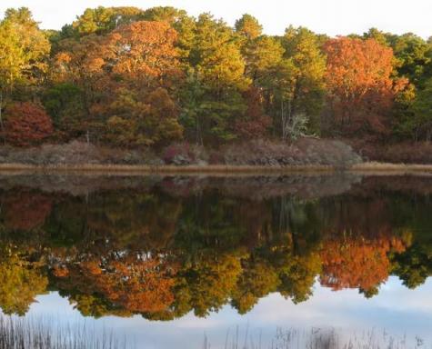 2 Twinings Lane Orleans MA 02653