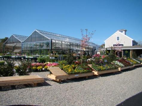 3038 Main Street Brewster MA 02653