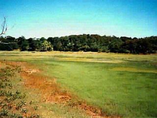 Wellfleet MA 02667