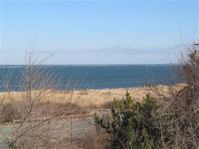 Brewster MA 02631