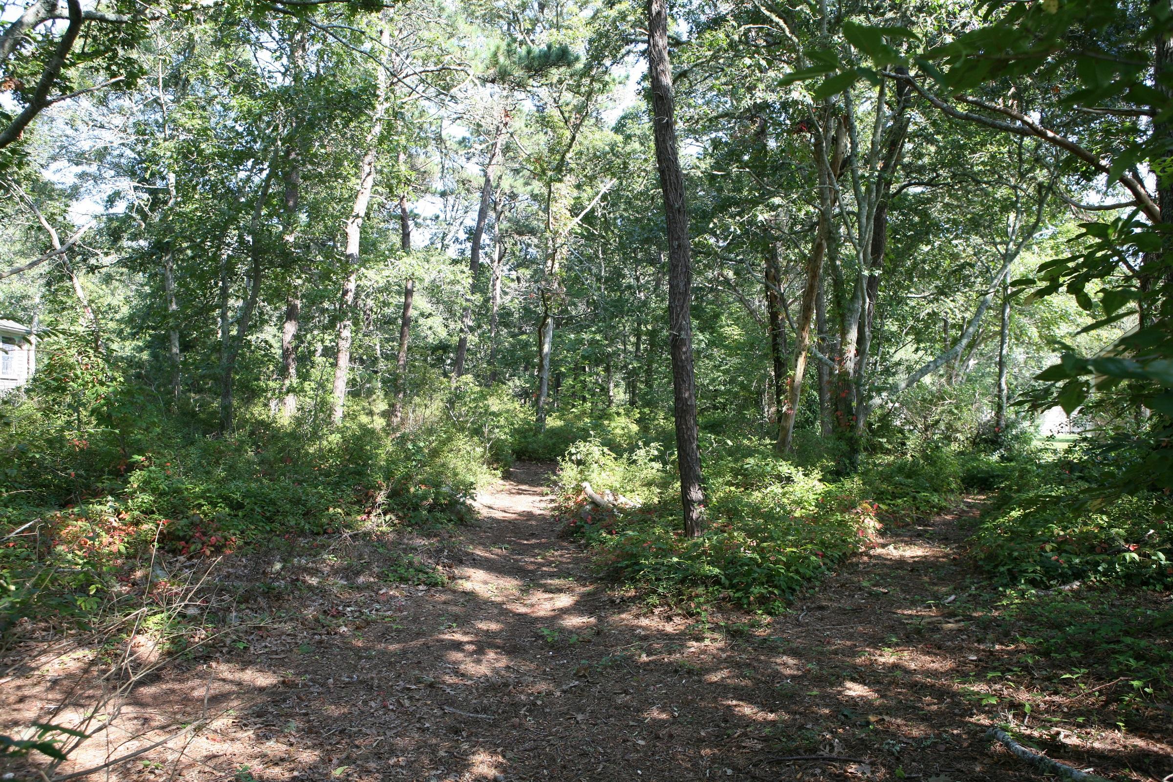 2 Elinor Lane, Harwich