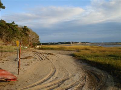 Wellfleet MA 02667