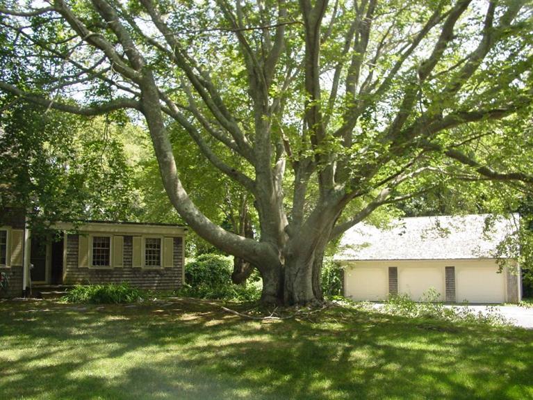 27 Pine Street Sandwich MA 02563