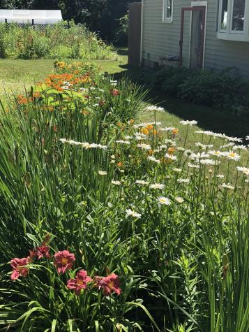 226 Osterville West Barnstable Road Barnstable MA 02655