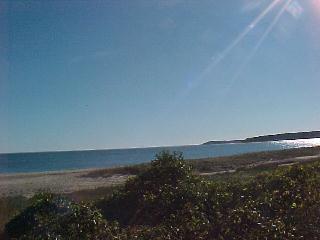 Wellfleet MA 02667