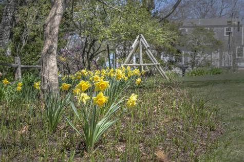 32 Whippoorwill Lane Yarmouth MA 02675