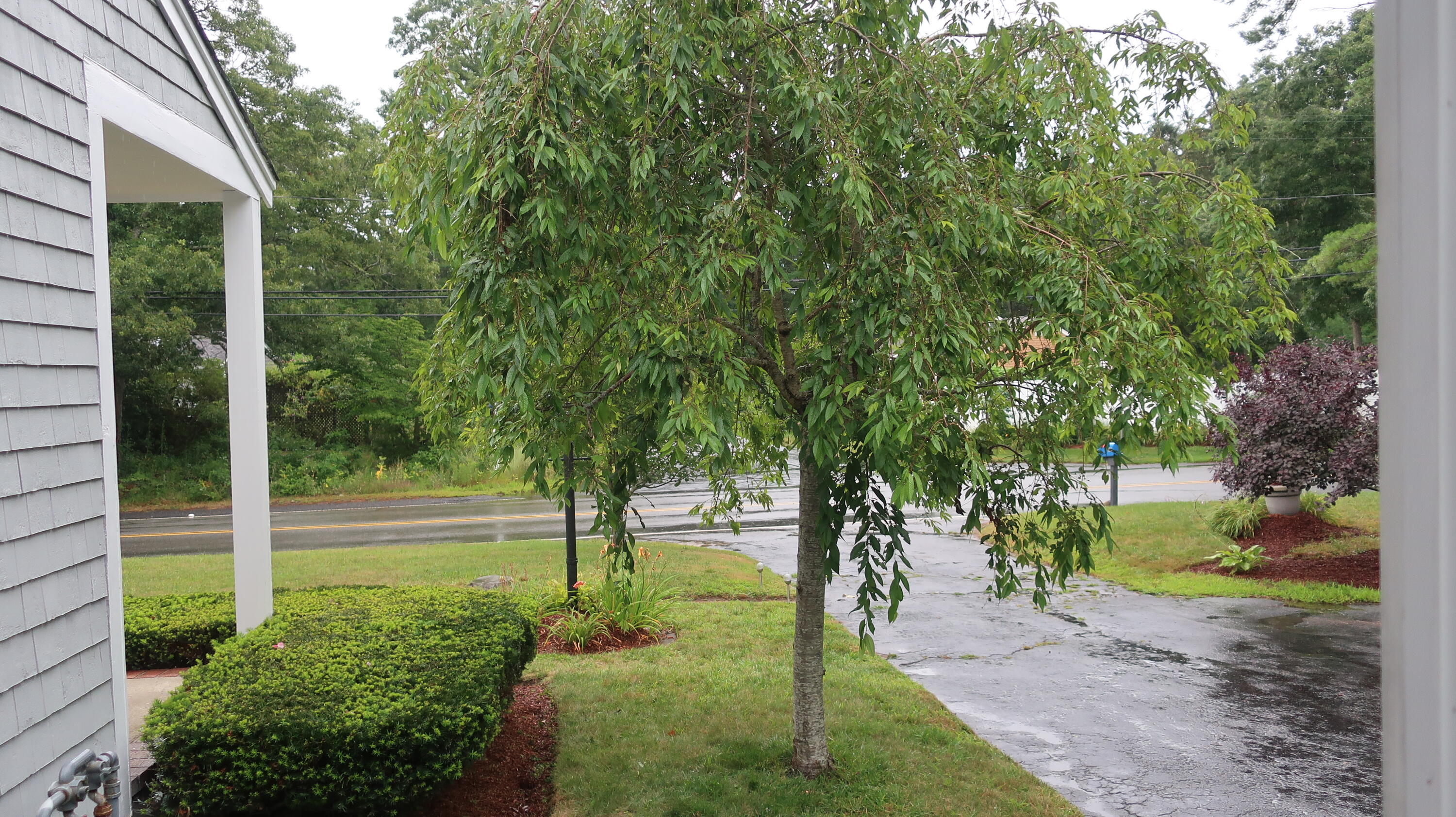 727 Shootflying Hill Road Barnstable MA 02632