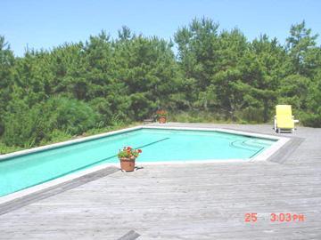 Wellfleet MA 02667