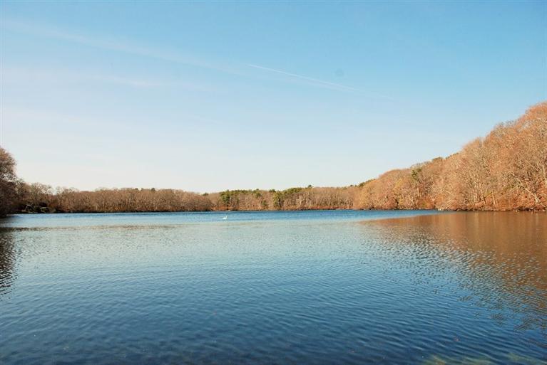 11 Shaker House Road Sandwich MA 02563