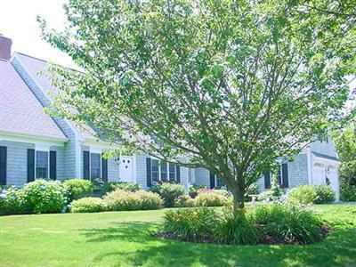 15 Quail Road Yarmouth MA 02673