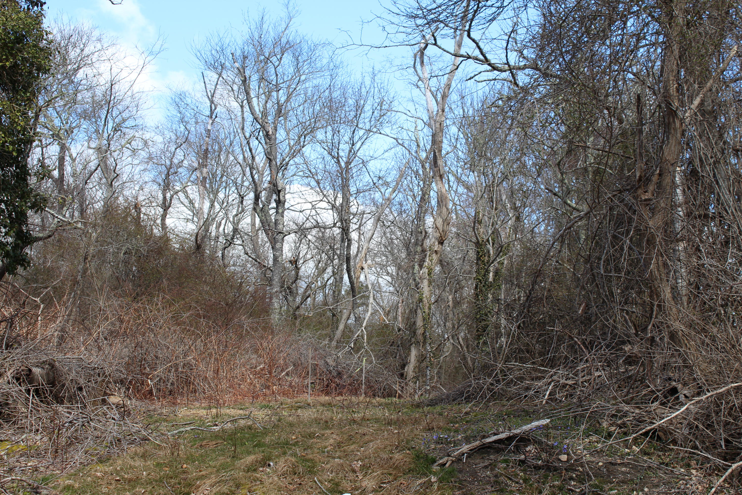 50 Pond Road Orleans MA 02653