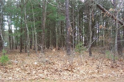 Barnstable MA 02655
