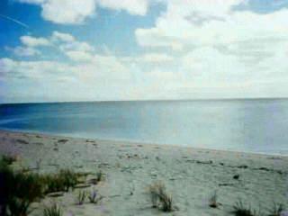 Harwich MA 02646