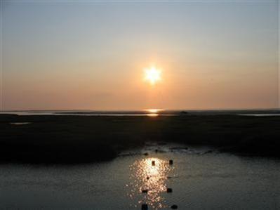 Yarmouth MA 02675