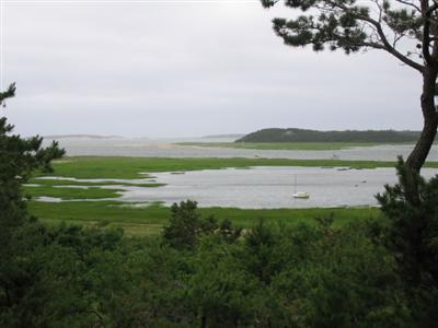 Wellfleet MA 02667