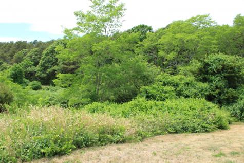 9 Castle Terrace Truro MA 02666