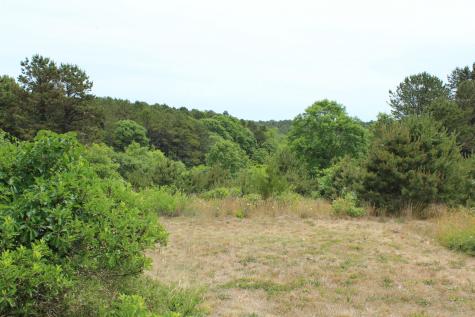 9 Castle Terrace Truro MA 02666