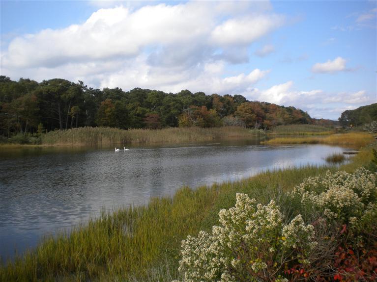 41 Old Kenyon Road Falmouth MA 02536