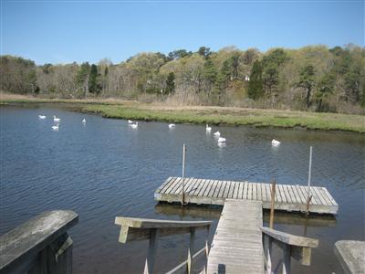 41 Old Kenyon Road Falmouth MA 02536