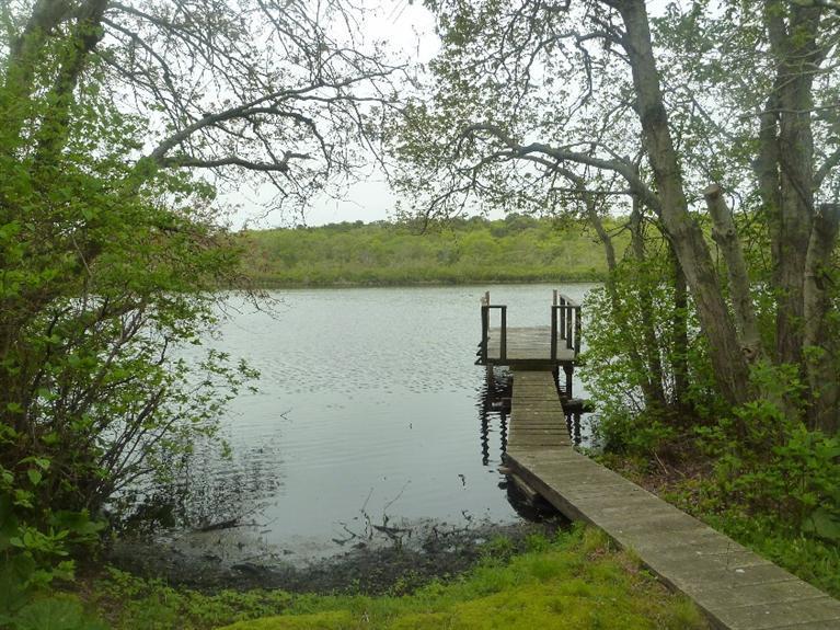 50 Circle Drive Barnstable MA 02601